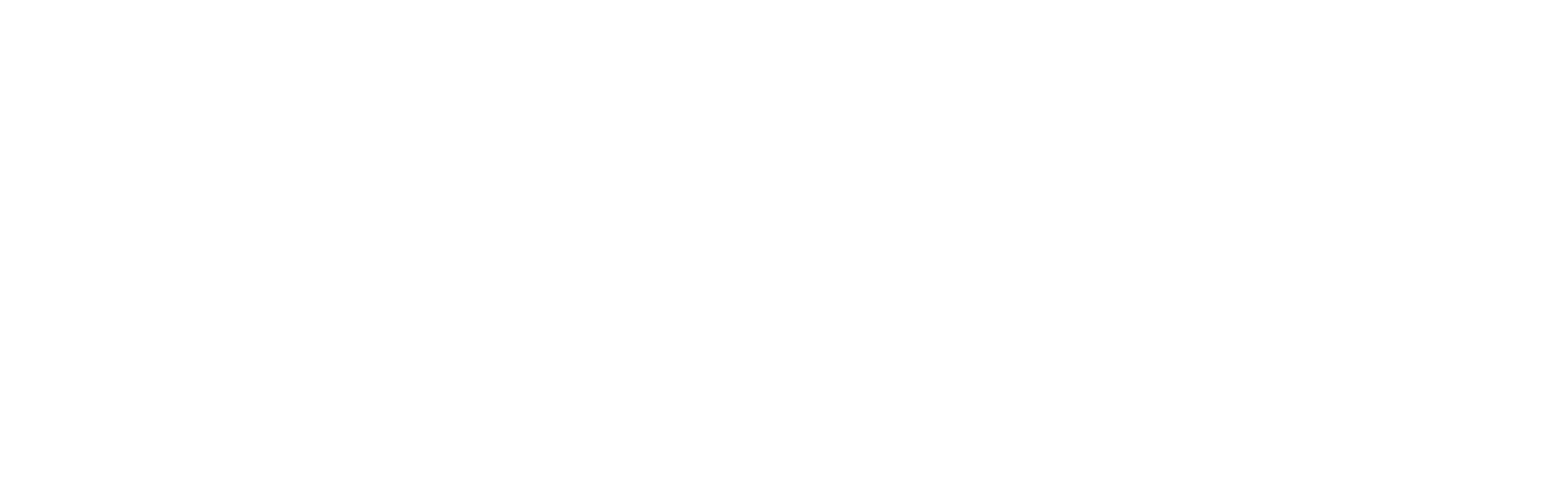 生まれ変わった皆の遊覧船