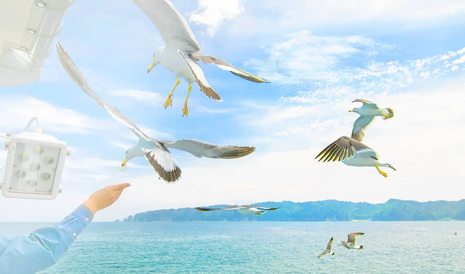 DVD 古城と宮殿 さわやか自然 ジェットストリーム 世界の船旅 昭和と戦争 日本船「飛鳥Ⅲ」で航く 名古屋発横浜着 Xmas 清水・横浜クルーズ 4